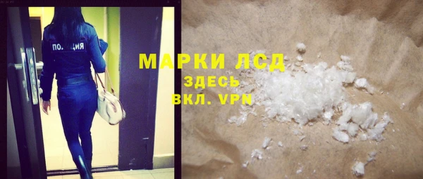 прущие грибы Абаза