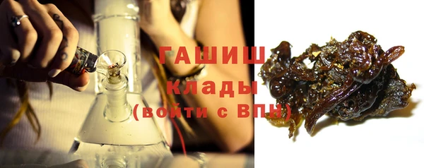 прущие грибы Абаза