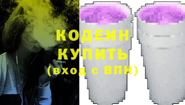 прущие грибы Абаза
