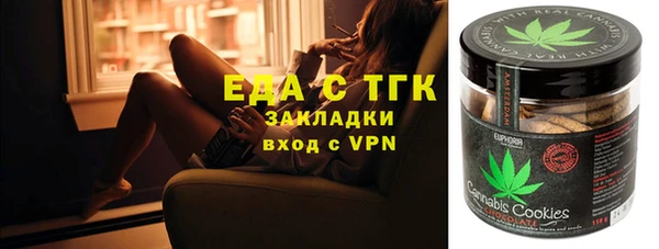 прущие грибы Абаза