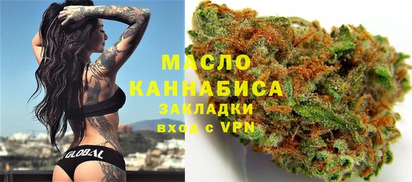 индика Абдулино