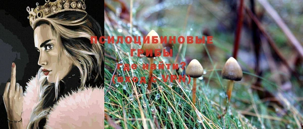 индика Абдулино