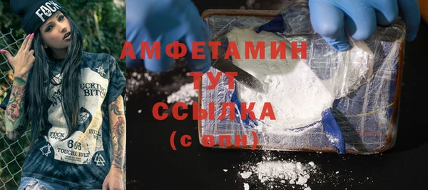 прущие грибы Абаза