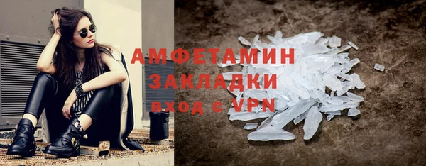 прущие грибы Абаза