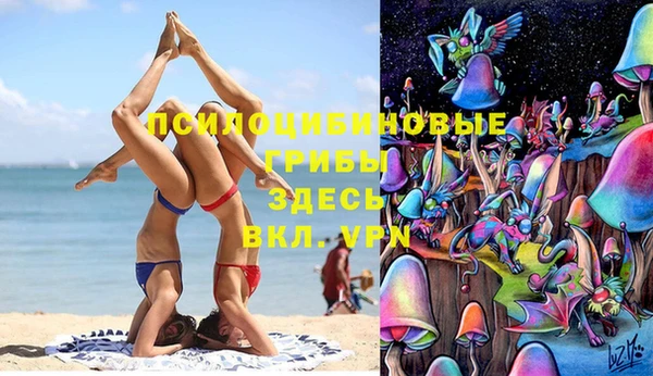прущие грибы Абаза