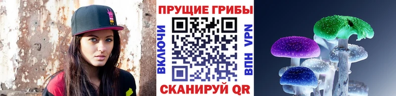 цены наркотик  Алагир  Псилоцибиновые грибы мицелий 